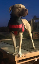 Load image into Gallery viewer, Hound Armoore Style Hunting Collar or Shoulder Pads - Seat-Belt Webbing