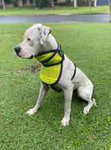 Load image into Gallery viewer, Hound Armoore Style Collar or Shoulder Pads - Standard Fire-Hose