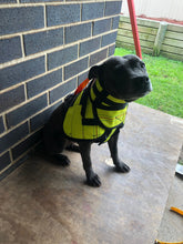 Load image into Gallery viewer, Hound Armoore Style Hunting Kelpie/Collie Collar or Shoulder Pads