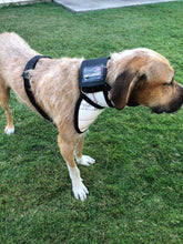 Load image into Gallery viewer, Hound Armoore Style Hunting Valcro Collar - Standard Fire-Hose