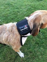Load image into Gallery viewer, Hound Armoore Style Hunting Valcro Collar - Standard Fire-Hose