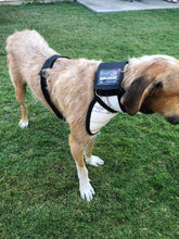 Load image into Gallery viewer, Hound Armoore Style Hunting Valcro Collar - Standard Fire-Hose
